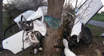 Младежи загинаха след удар в дърво