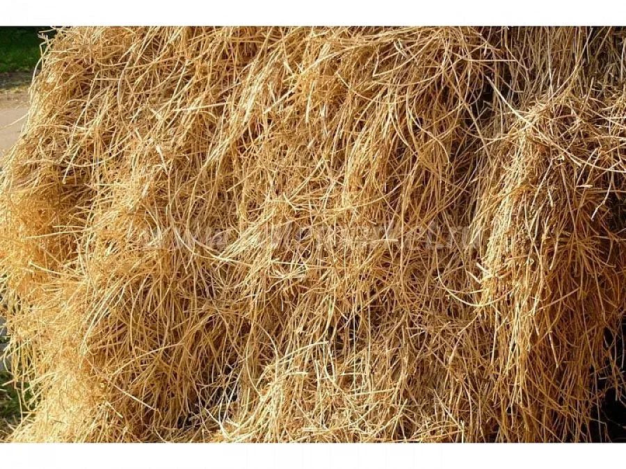 Изгоряха 150 бали сено в Чернооченско