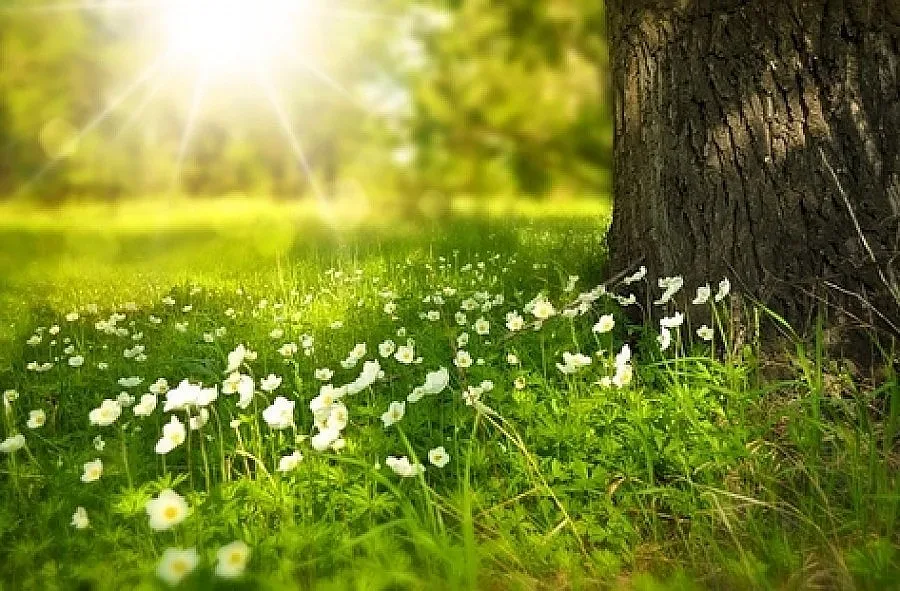 Слънчево и без валежи