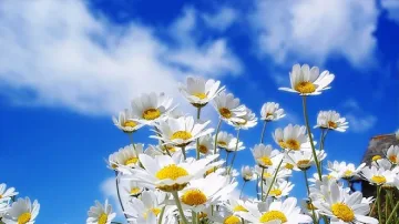 Слънчево и топло