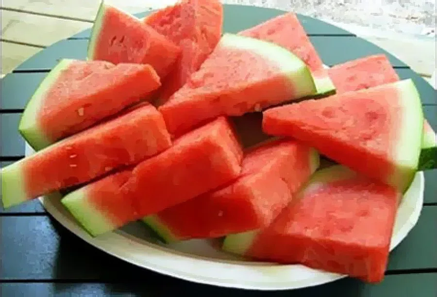 Започва първият Диня фест във Варна