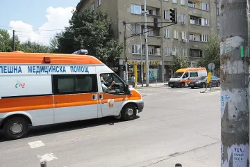 Орех се стовари върху микробус, по чудо няма пострадали