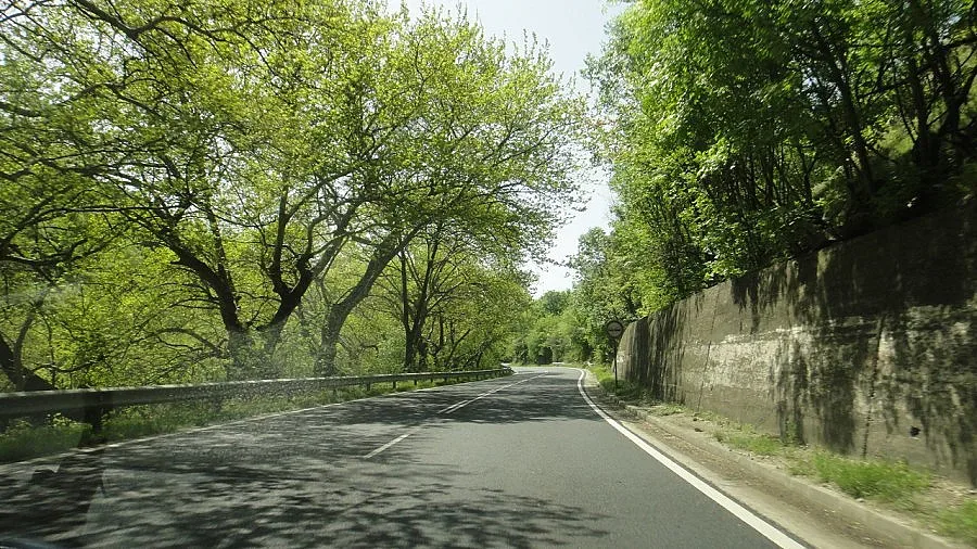 Подписка за видеокамери и светофари в Кресна