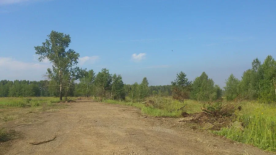 Масови проверки за работници на полето без договори