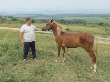 Шефът за защита на животните в ЕП идва за кръгла маса у нас 