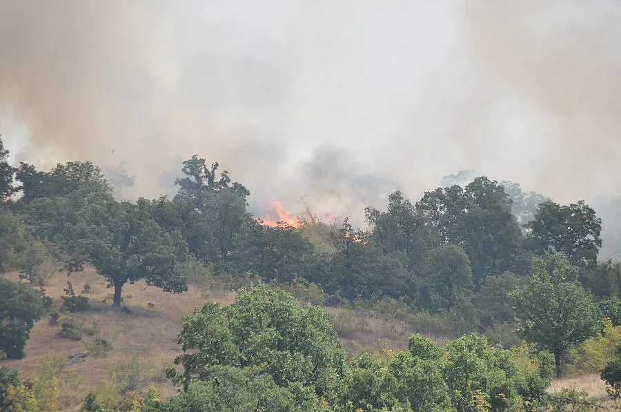 Пожарът в село Брягово на метри от къщите