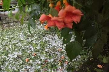 3 дни протест на Агенцията по борба с градушките