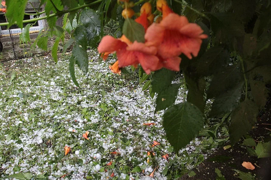 3 дни протест на Агенцията по борба с градушките