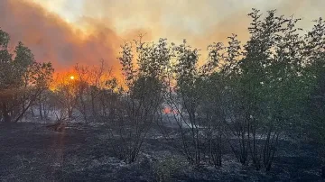 Бедствено положение у нас. Къде е кошмарът