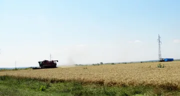 Слънчоглед и царевица съхнат заради сушата