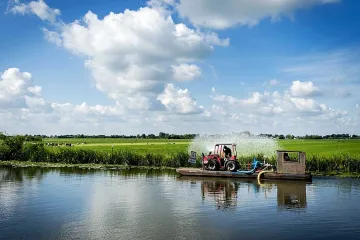 Гърци купуват жито от Северозапада