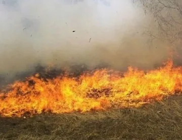 Овладяха ситуацията в най-критичната част на пожара в Рила
