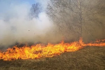 Пожар в Рила обхвана 50 декара