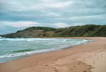 Забраниха колите на Шофьорския плаж край Дюни