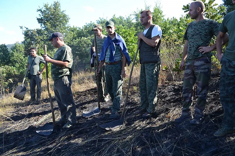 Подпалиха пасище заради европари (ОБЗОР)
