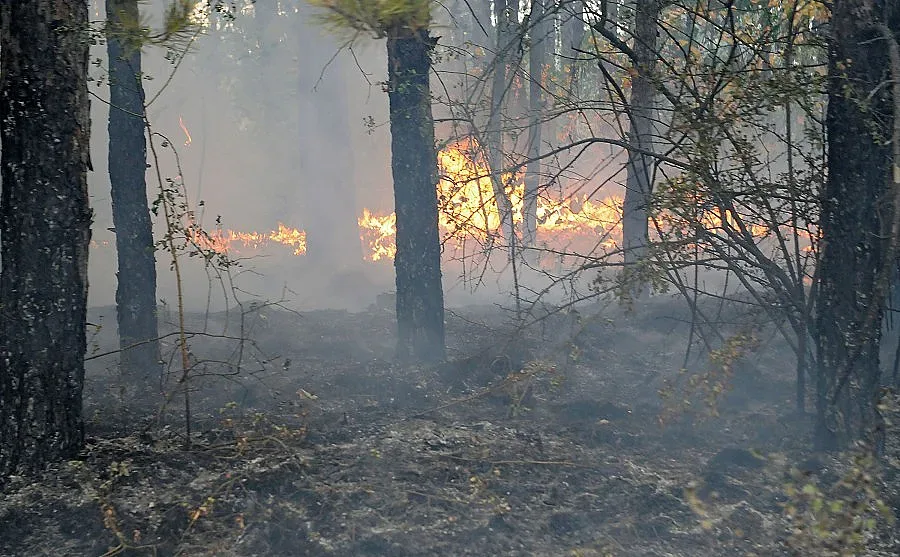 Бедствено положение в Харманли заради пожара