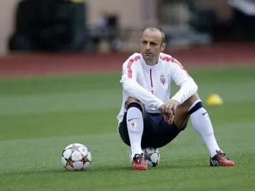 Берба "ленивец" №1 в Европа