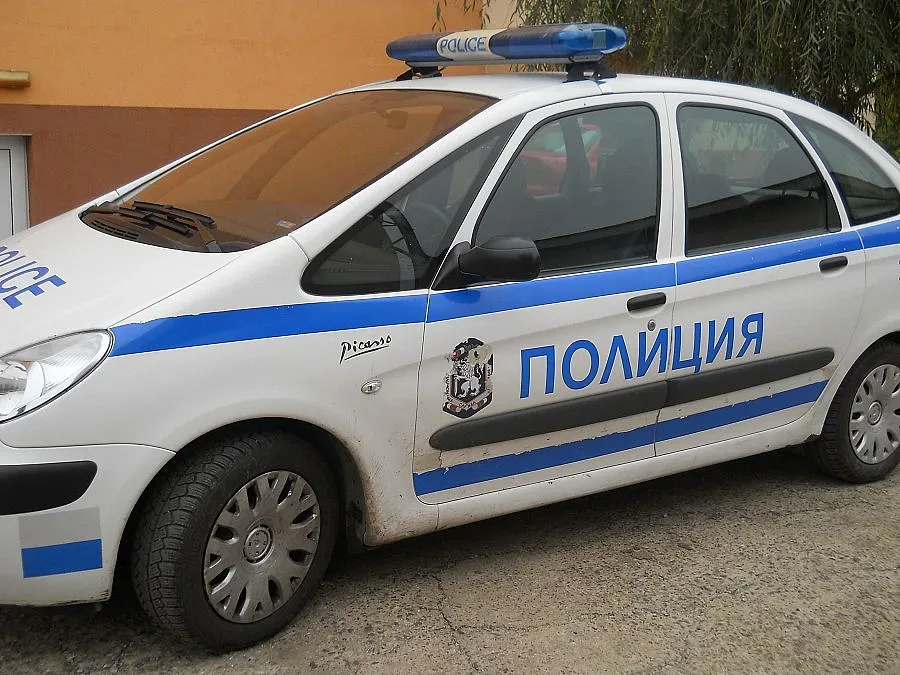 Роми унищожиха млади бадемови дръвчета