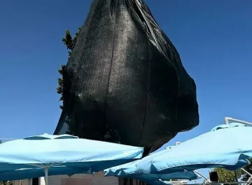 Фейсбук спаси "опакован" кипарис в Несебър 