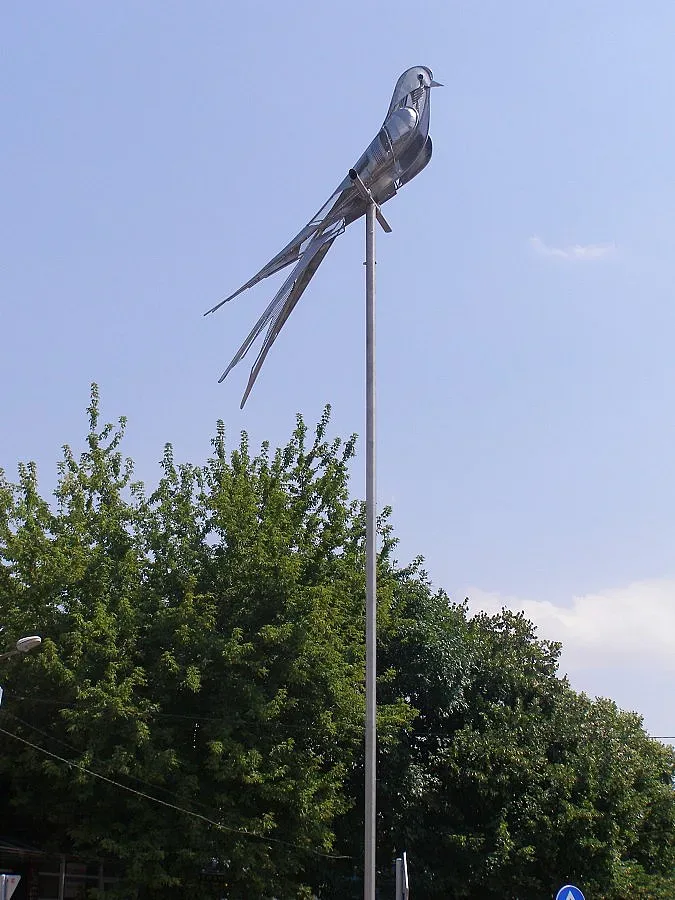 Бяла лястовица "кацна" в Добрич