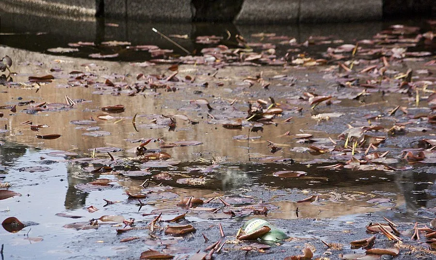 Неонацисти пребиха 67-годишен в Борисовата