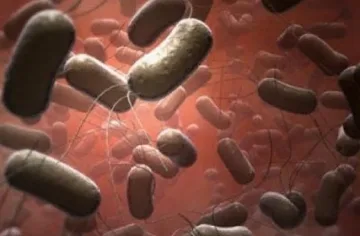 Стафилококи в детска кухня в Перник