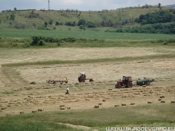 Земеделци остават без работници на полето