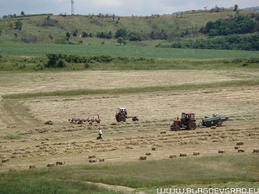 Земеделци остават без работници на полето