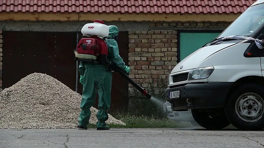 Млада гвардия мина на боб и зеле след "чумата"  (ОБЗОР)