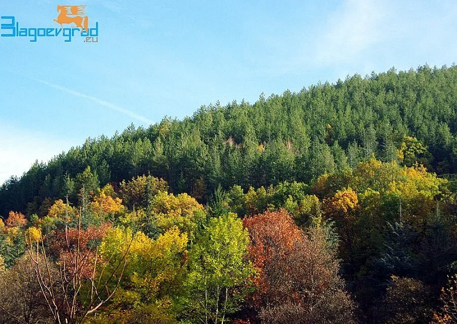 Изграждат девет кули срещу пожари в Пиринско