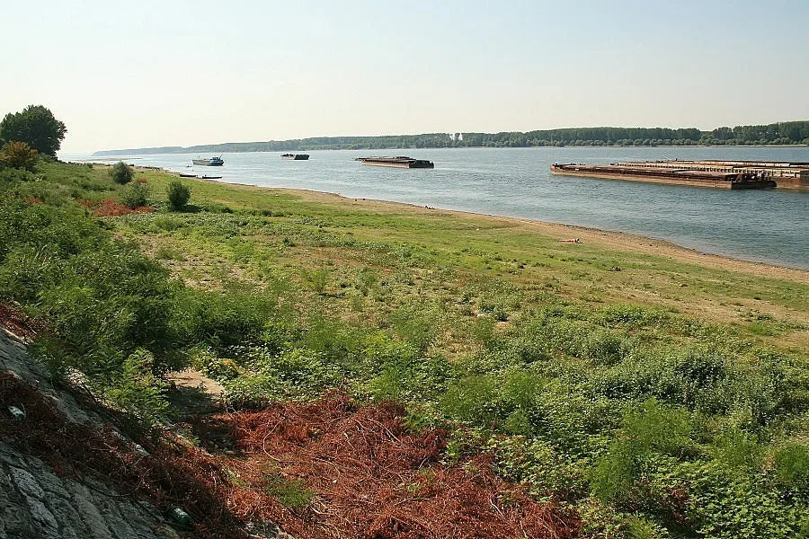 Дунав спада, корабите – пред засядане