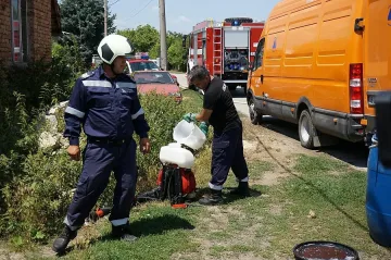 Стартира ваксинация на животните в Млада гвардия