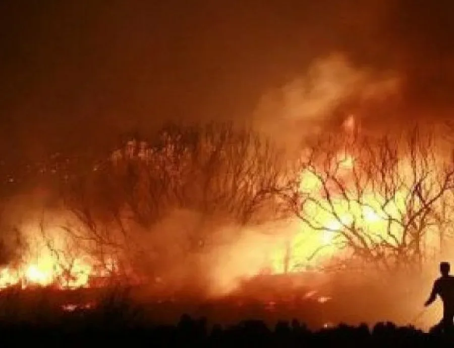 Българин и грък се топят за пожара в Атина