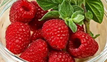 Трети сме в Европа по износ на малини