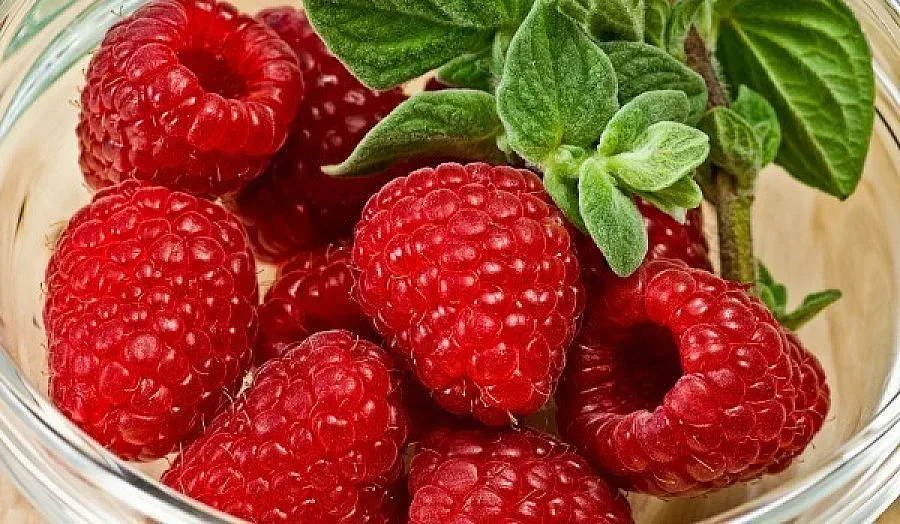 Трети сме в Европа по износ на малини