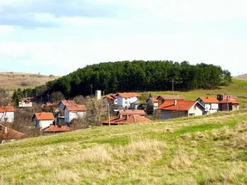 Самодейци разиграват старовремски сватби на фестивал