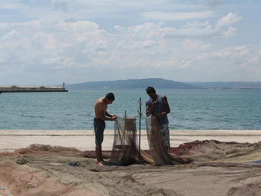 Храним гърци с риба на кредит