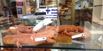 Протест с тестени крокодили в Атина