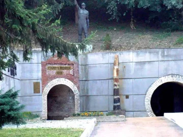 Перник пази вкаменени дървета