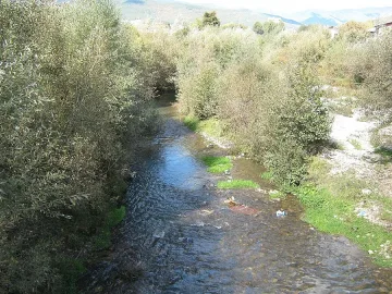 Майка хвърли 4-месечното си бебе в река Чепинска