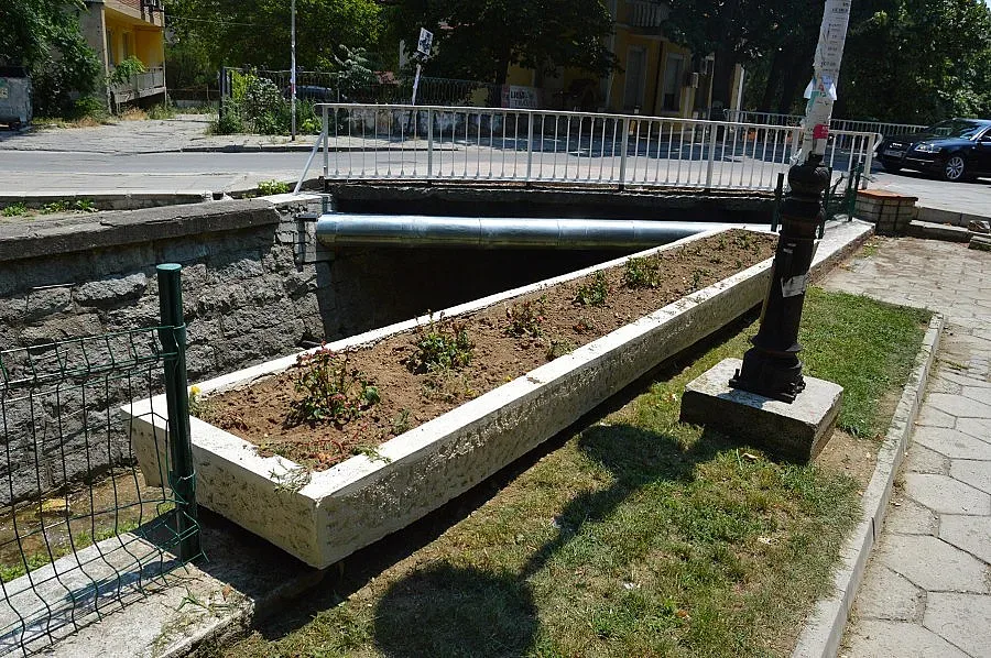 Нови цветя в Благоевград напук на вандалите