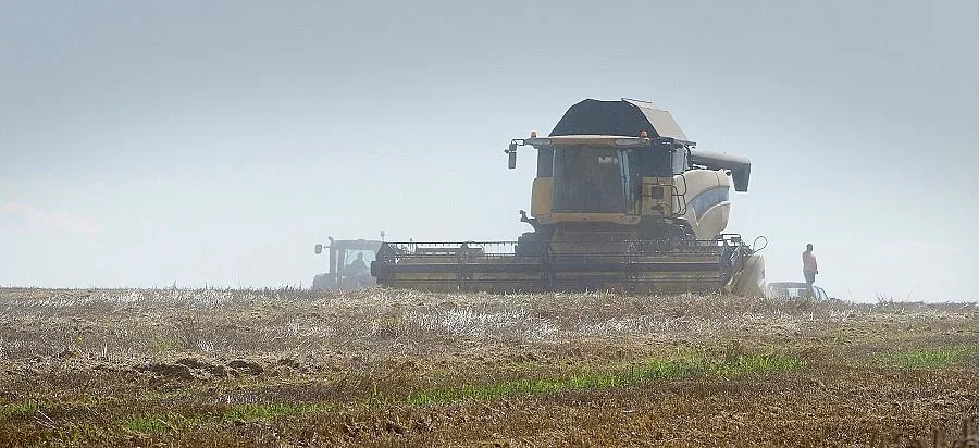 Скъпият долар сваля цената на житото
