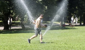 Жълт код, хващайте гората