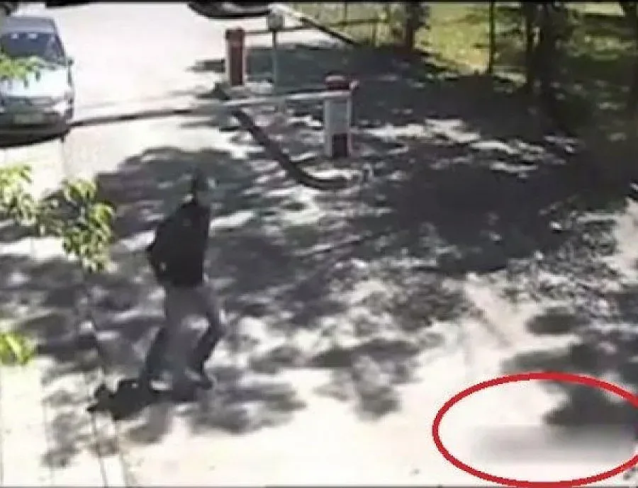 МВР търси помощ от Европа и САЩ за убития Георги