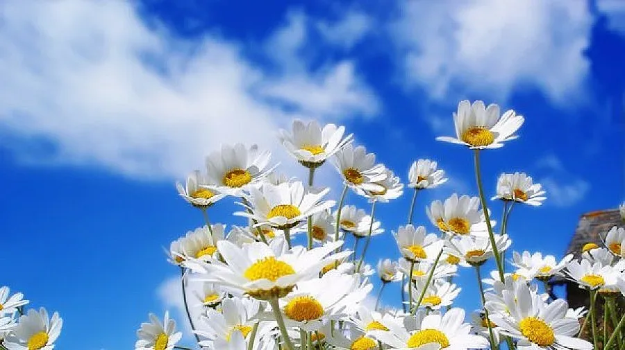 Слънчево и топло