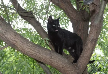 Температурите стигат 29° в петък