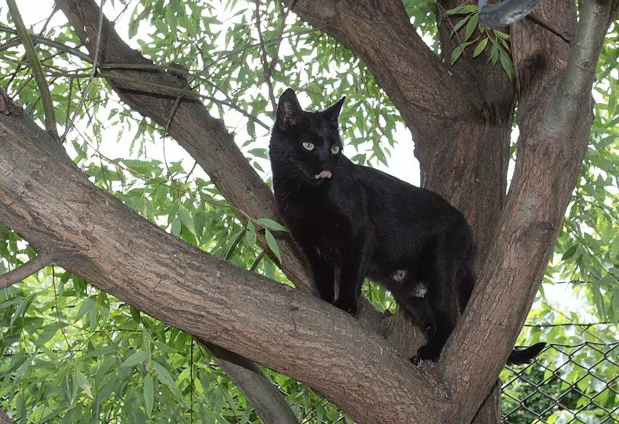 Температурите стигат 29° в петък