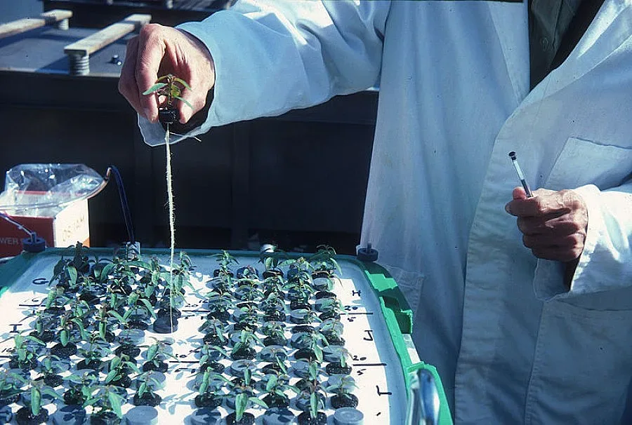 Топ учените ни с 5 бона заплата