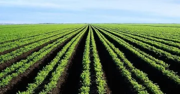 Разделят парите от ЕС между повече фермери