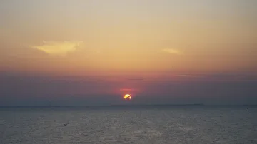 Добрич посрещна Джулай морнинг